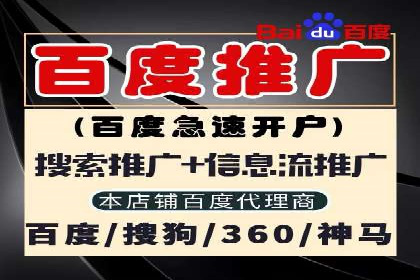 探索SEM托管公司经典案例：助力企业快速成长